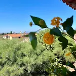 Casa Di Rosy דירה