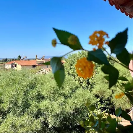 Casa Di Rosy Apartamento