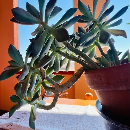 Апартаменты Casa Di Rosy